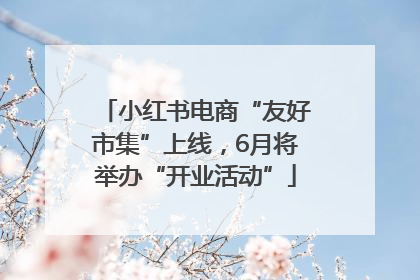 小红书电商“友好市集”上线，6月将举办“开业活动”