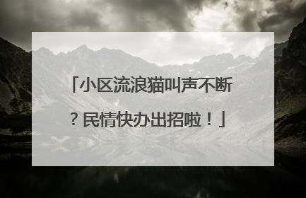 小区流浪猫叫声不断？民情快办出招啦！