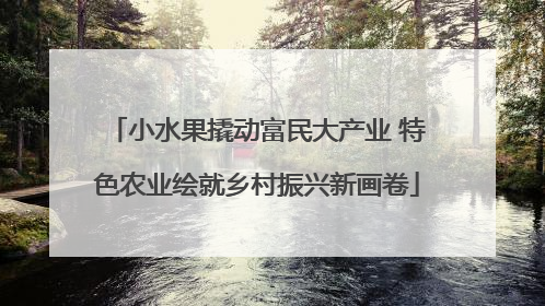 小水果撬动富民大产业 特色农业绘就乡村振兴新画卷