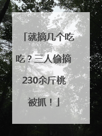 就摘几个吃吃？三人偷摘230余斤桃被抓！