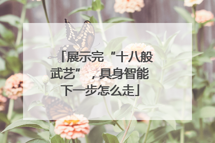 展示完“十八般武艺”，具身智能下一步怎么走