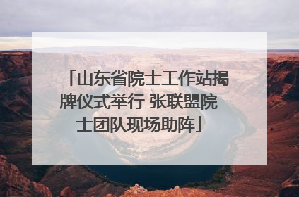 山东省院士工作站揭牌仪式举行 张联盟院士团队现场助阵