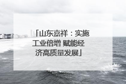 山东嘉祥：实施工业倍增 赋能经济高质量发展