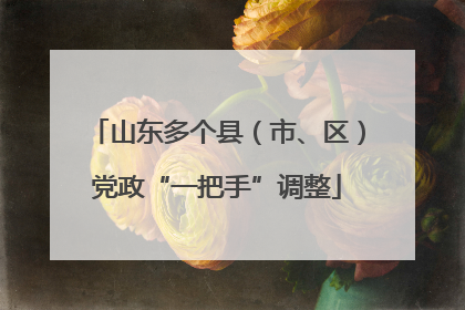 山东多个县（市、区）党政“一把手”调整