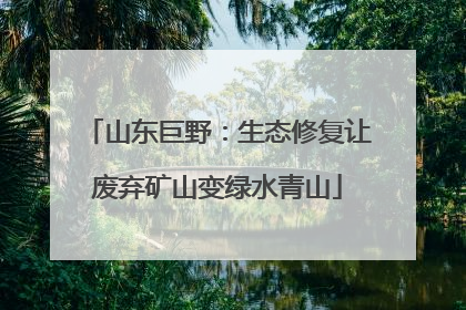 山东巨野：生态修复让废弃矿山变绿水青山