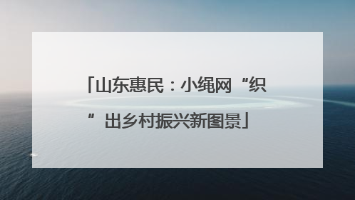 山东惠民：小绳网“织”出乡村振兴新图景
