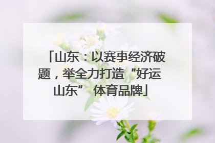 山东：以赛事经济破题，举全力打造“好运山东” 体育品牌