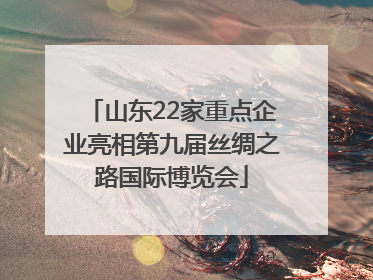 山东22家重点企业亮相第九届丝绸之路国际博览会