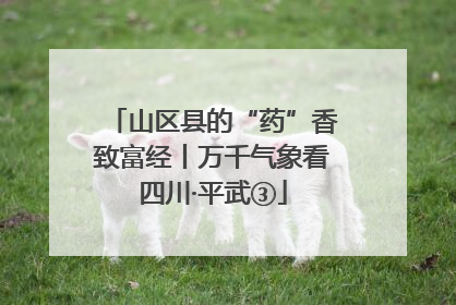 山区县的“药”香致富经丨万千气象看四川·平武③