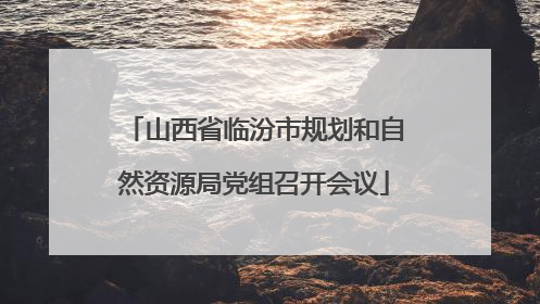 山西省临汾市规划和自然资源局党组召开会议