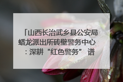 山西长治武乡县公安局蟠龙派出所砖壁警务中心：深耕“红色警务” 谱写“平安答卷”