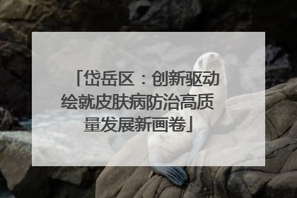 岱岳区：创新驱动绘就皮肤病防治高质量发展新画卷