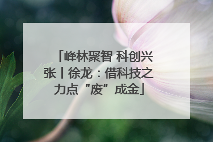 峰林聚智 科创兴张丨徐龙：借科技之力点“废”成金