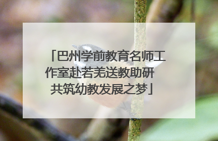 巴州学前教育名师工作室赴若羌送教助研 共筑幼教发展之梦