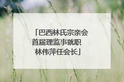 巴西林氏宗亲会首届理监事就职 林伟萍任会长