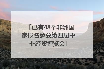 已有48个非洲国家报名参会第四届中非经贸博览会