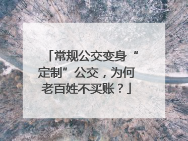 常规公交变身“定制”公交，为何老百姓不买账？