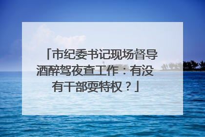 市纪委书记现场督导酒醉驾夜查工作：有没有干部耍特权？