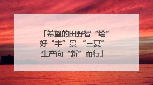 希望的田野智“绘”好“丰”景 “三夏”生产向“新”而行