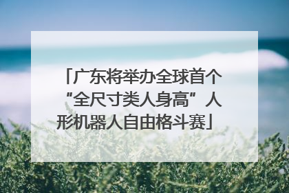 广东将举办全球首个“全尺寸类人身高”人形机器人自由格斗赛