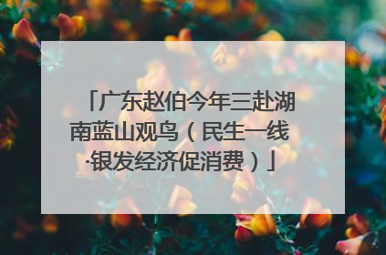 广东赵伯今年三赴湖南蓝山观鸟（民生一线·银发经济促消费）