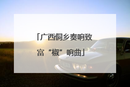 广西侗乡奏响致富“椒”响曲