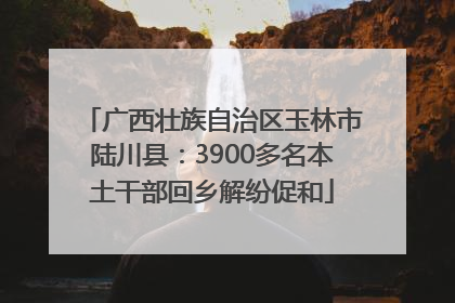 广西壮族自治区玉林市陆川县：3900多名本土干部回乡解纷促和