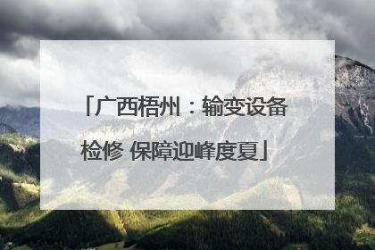 广西梧州：输变设备检修 保障迎峰度夏