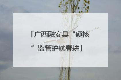 广西融安县“硬核”监管护航春耕