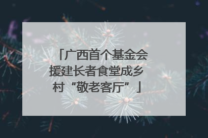 广西首个基金会援建长者食堂成乡村“敬老客厅”
