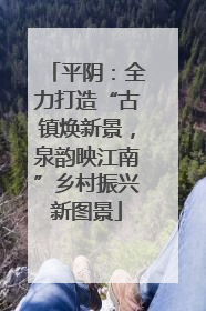 平阴：全力打造“古镇焕新景，泉韵映江南”乡村振兴新图景