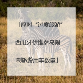 应对“过度旅游” 西班牙伊维萨岛限制旅游用车数量