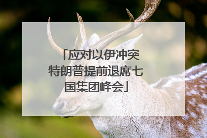 应对以伊冲突 特朗普提前退席七国集团峰会