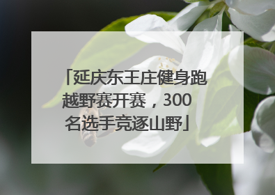 延庆东王庄健身跑越野赛开赛，300名选手竞逐山野