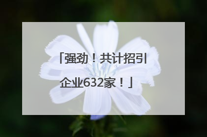 强劲！共计招引企业632家！