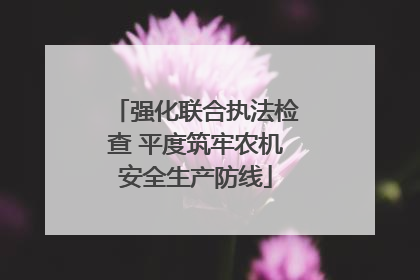 强化联合执法检查 平度筑牢农机安全生产防线