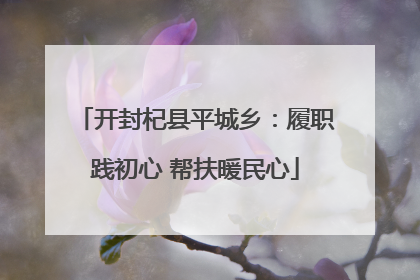 开封杞县平城乡：履职践初心 帮扶暖民心