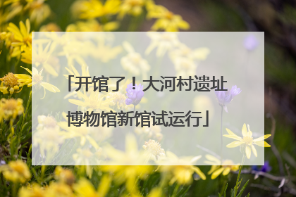 开馆了！大河村遗址博物馆新馆试运行