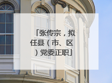 张传宗，拟任县（市、区）党委正职