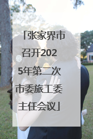 张家界市召开2025年第二次市委旅工委主任会议