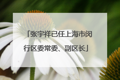 张宇祥已任上海市闵行区委常委、副区长