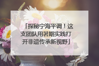 探秘宁海平调！这支团队用暑期实践打开非遗传承新视野