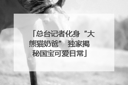 总台记者化身“大熊猫奶爸” 独家揭秘国宝可爱日常