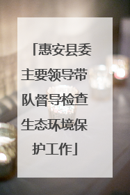 惠安县委主要领导带队督导检查生态环境保护工作