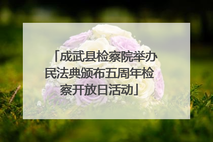 成武县检察院举办民法典颁布五周年检察开放日活动