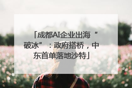 成都AI企业出海“破冰”：政府搭桥，中东首单落地沙特