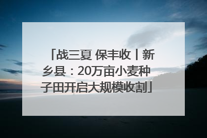 战三夏 保丰收丨新乡县：20万亩小麦种子田开启大规模收割