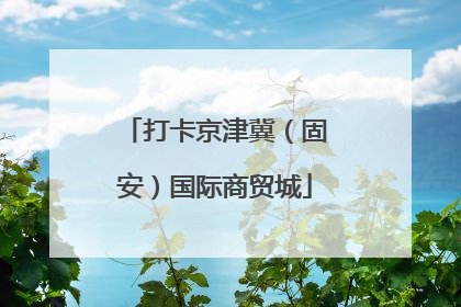 打卡京津冀（固安）国际商贸城