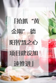 抢抓“黄金期” 德阳智慧之心项目建设加速推进