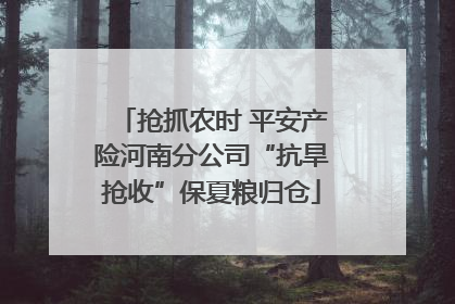 抢抓农时 平安产险河南分公司“抗旱抢收”保夏粮归仓